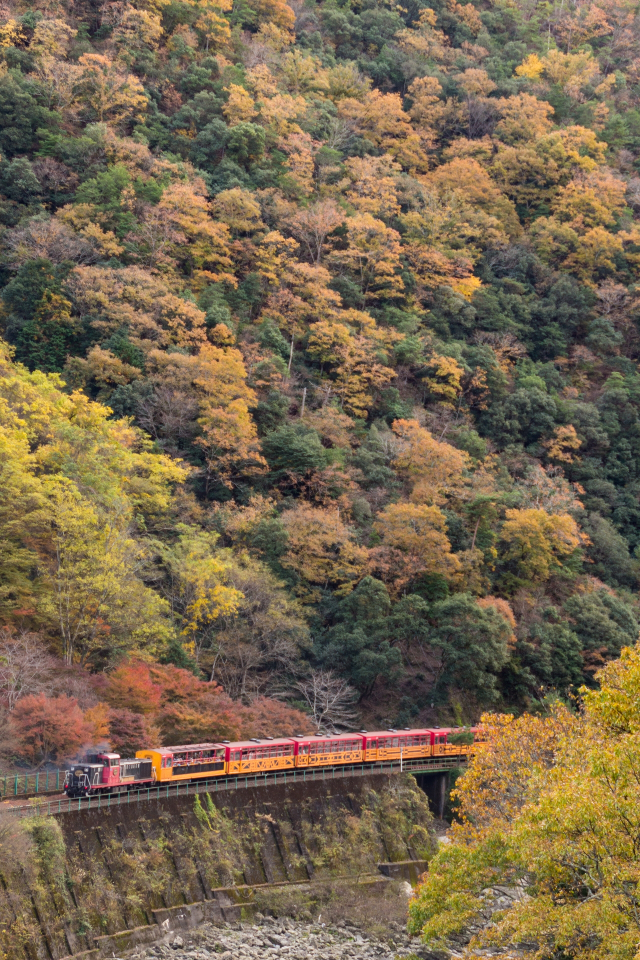 嵯峨嵐山トロッコ